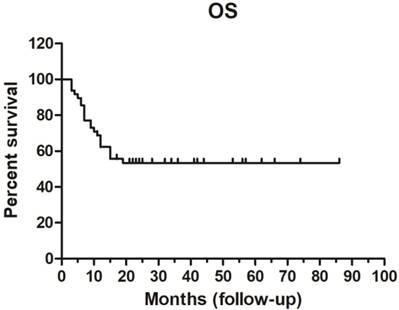 J Cancer Image