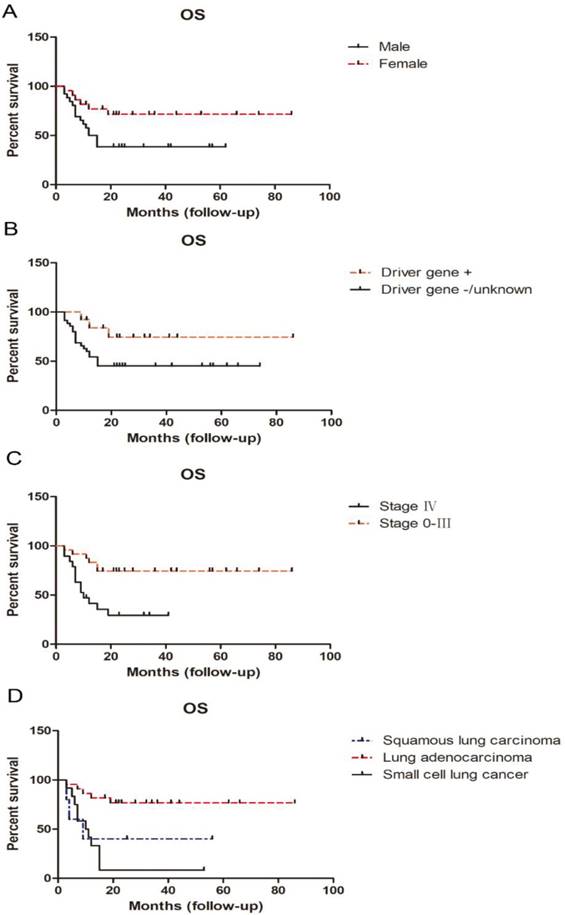 J Cancer Image