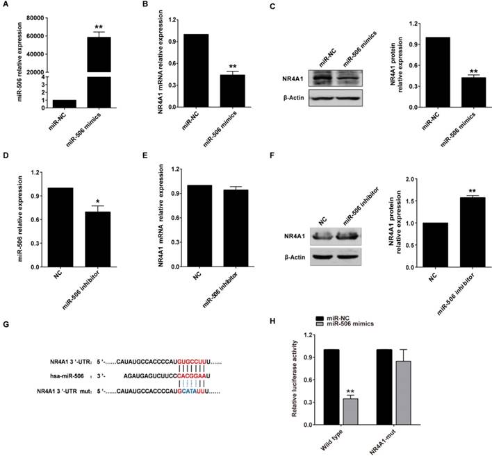 J Cancer Image