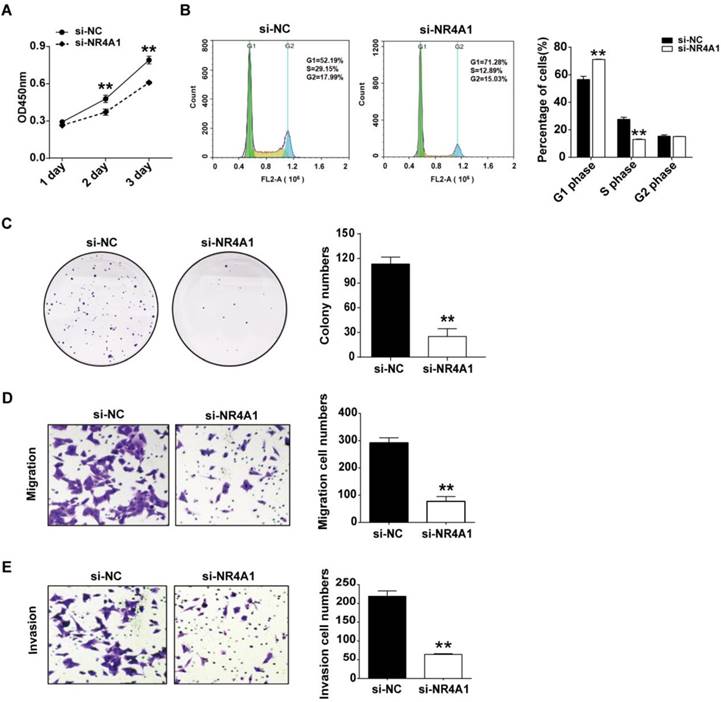 J Cancer Image