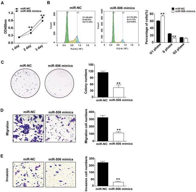 J Cancer Image