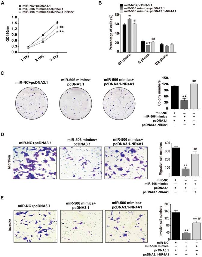 J Cancer Image