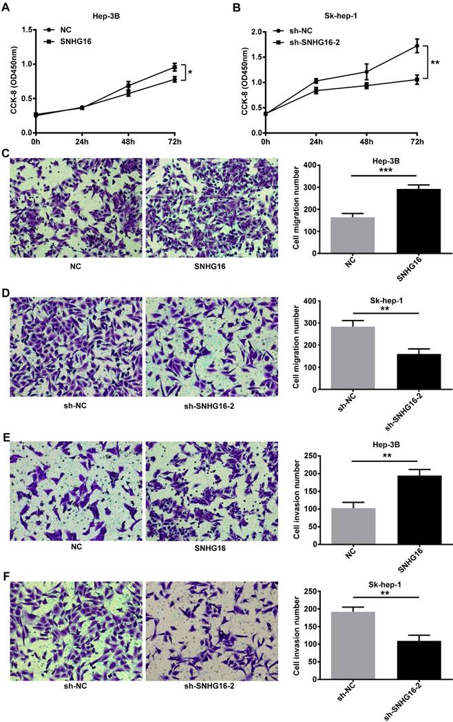 J Cancer Image