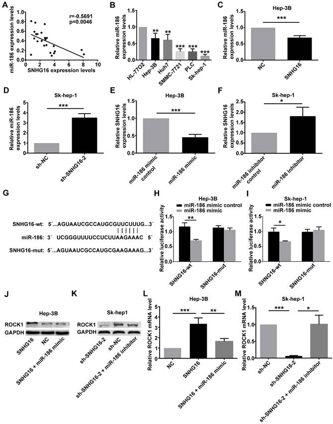 J Cancer Image