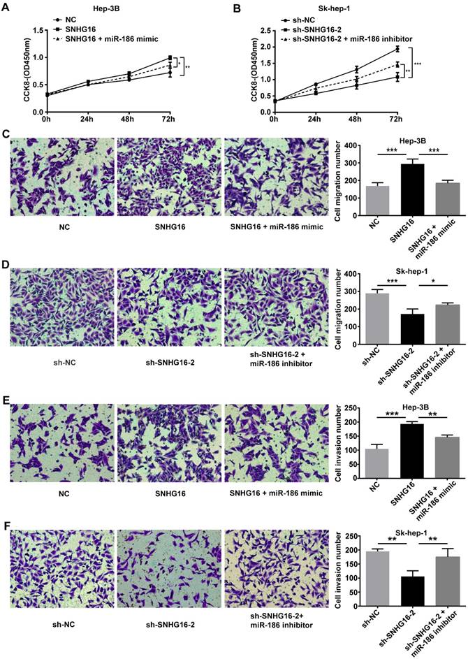 J Cancer Image