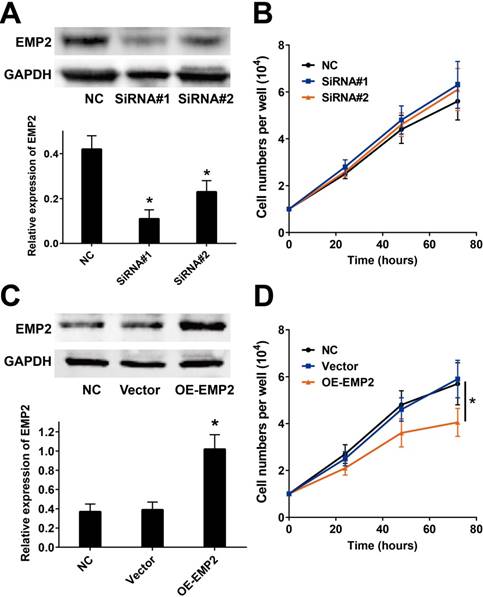 J Cancer Image