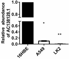 J Cancer Image