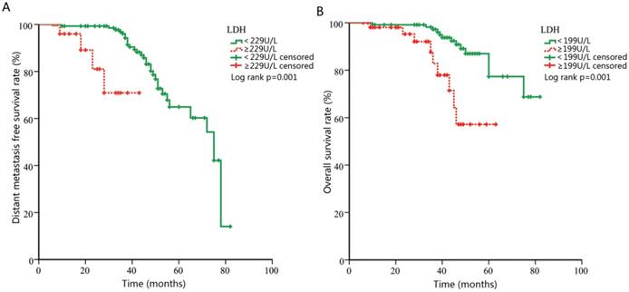 J Cancer Image