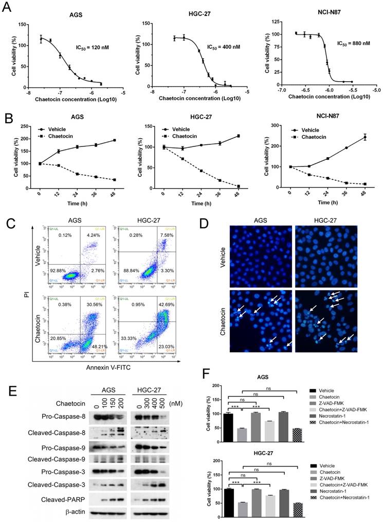 J Cancer Image