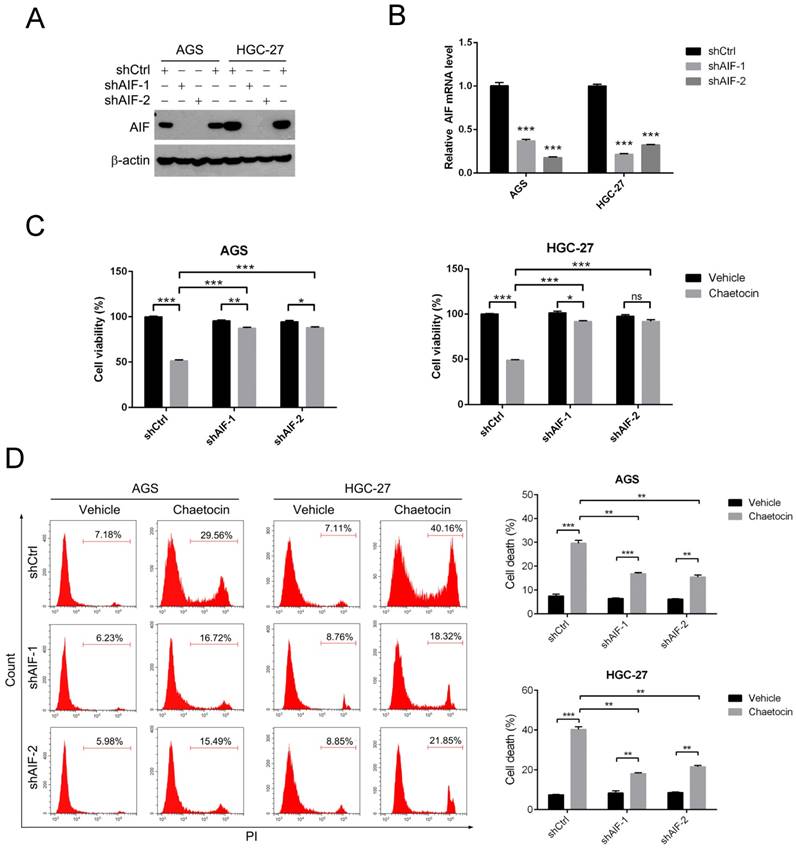 J Cancer Image