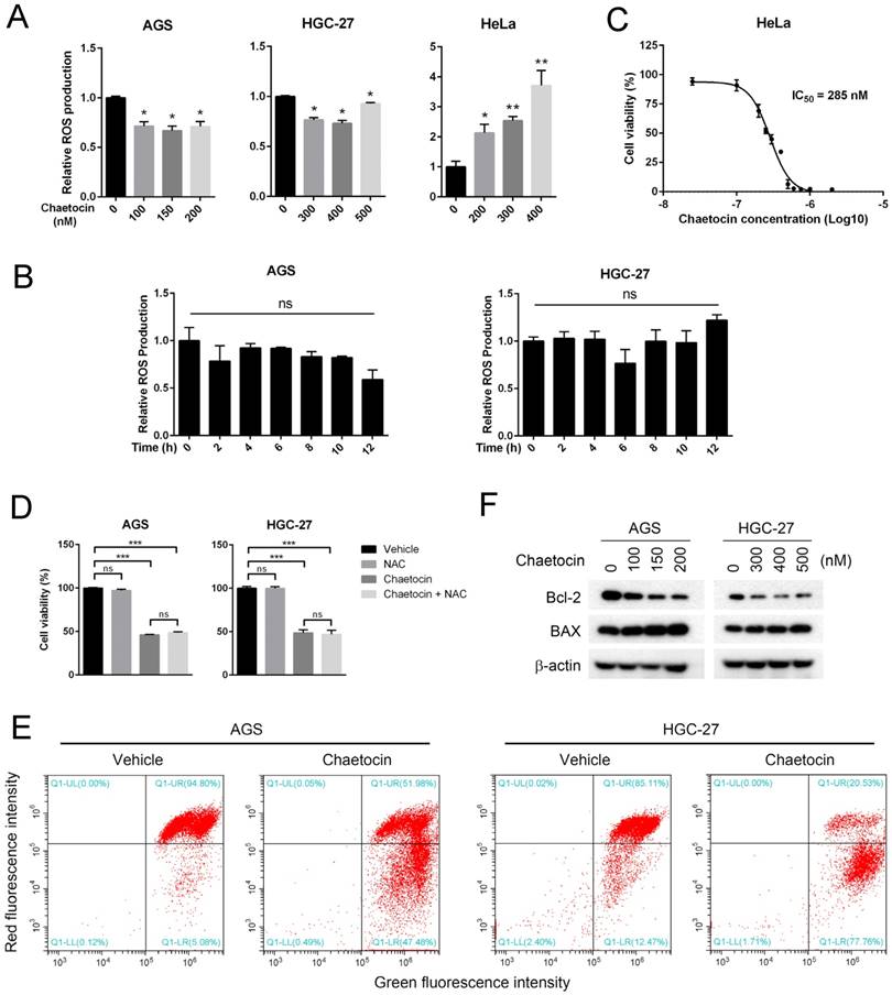 J Cancer Image