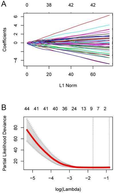 J Cancer Image