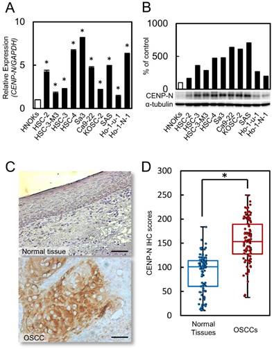 J Cancer Image