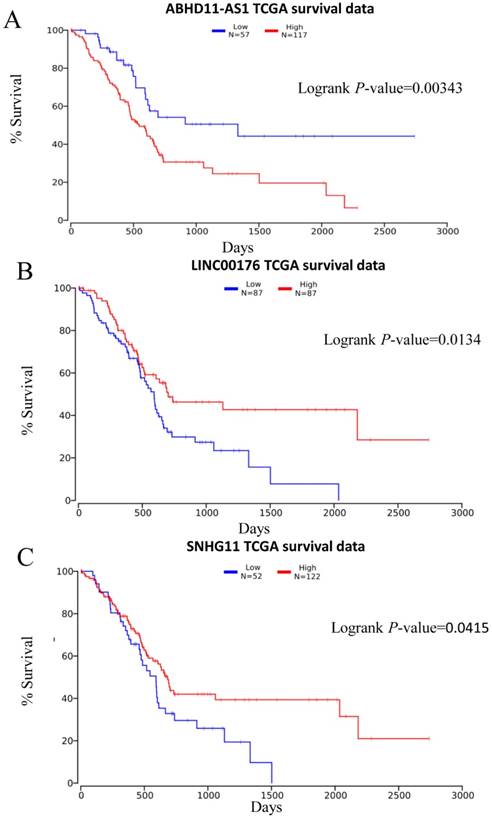 J Cancer Image