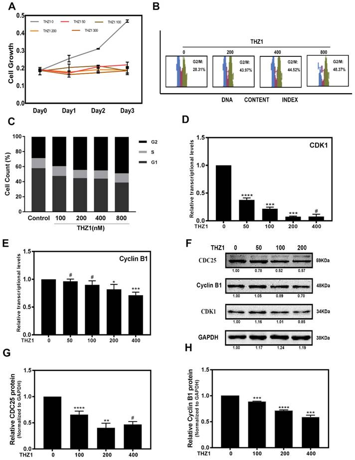 J Cancer Image