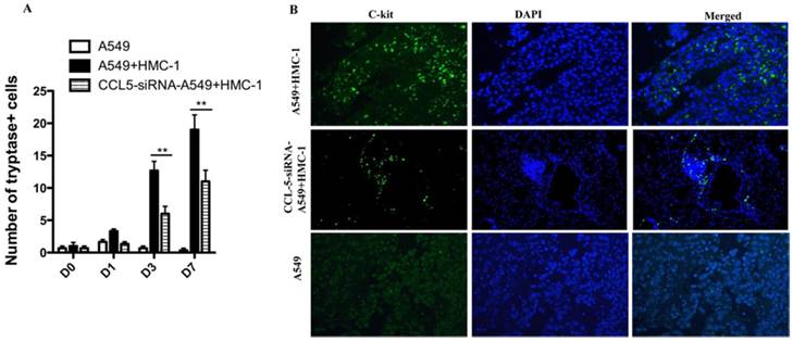 J Cancer Image