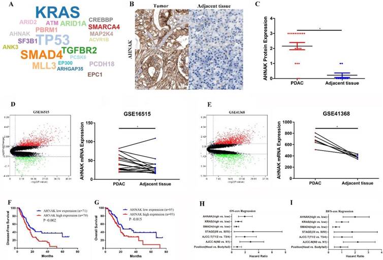 J Cancer Image