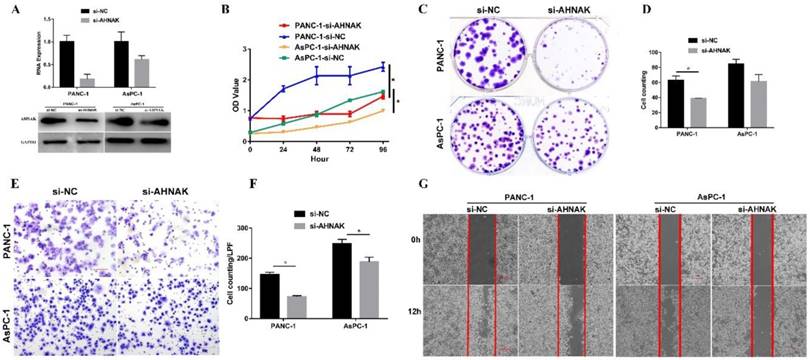 J Cancer Image