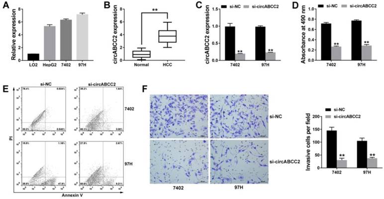 J Cancer Image