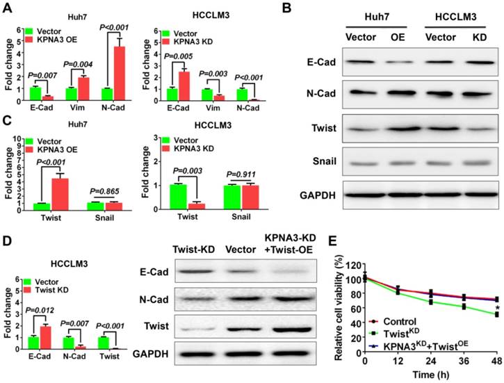 J Cancer Image