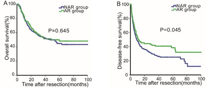 J Cancer Image