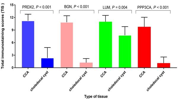 J Cancer Image