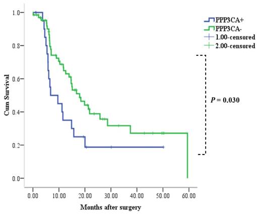 J Cancer Image