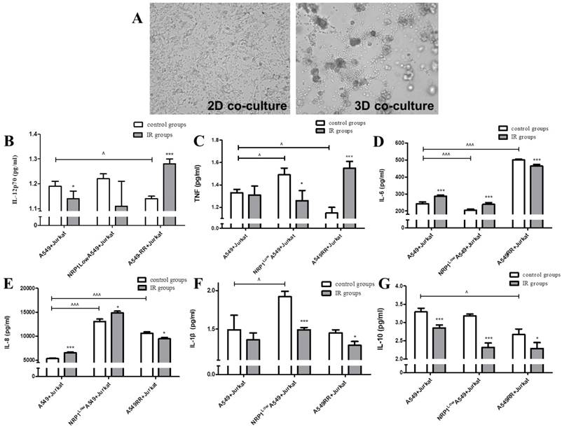 J Cancer Image