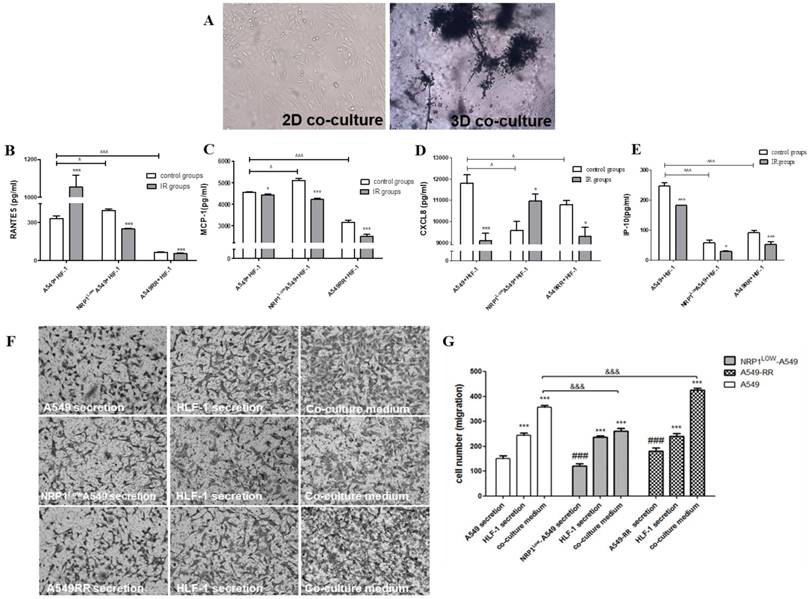 J Cancer Image