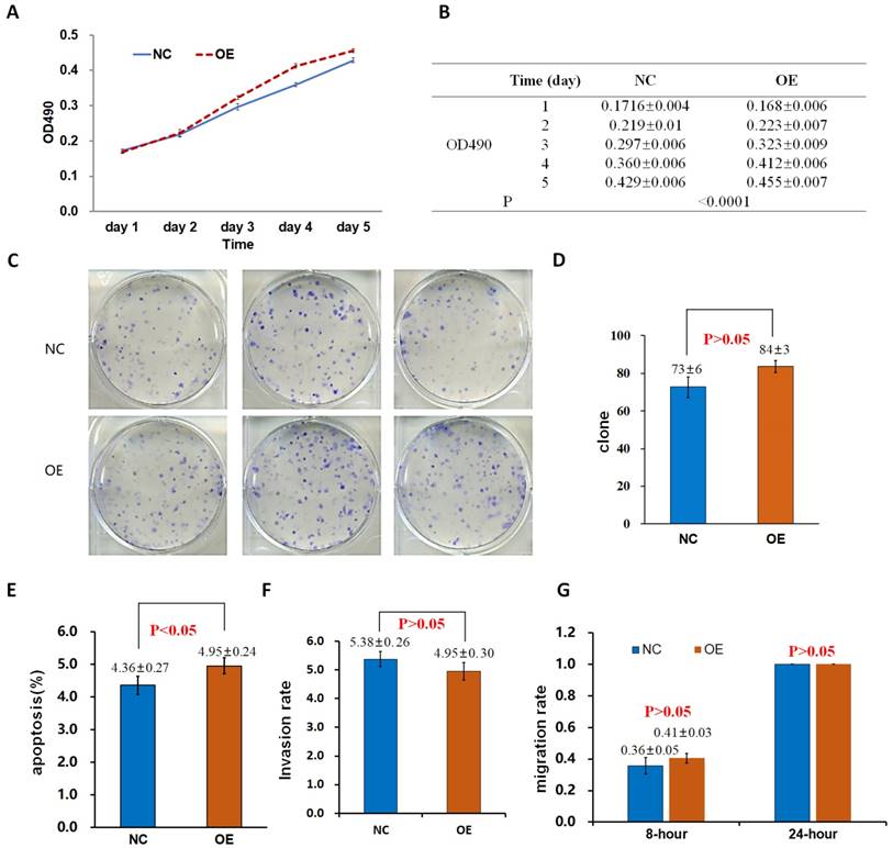 J Cancer Image