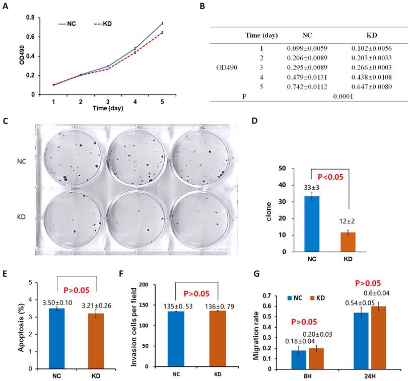 J Cancer Image