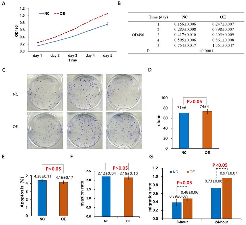 J Cancer Image