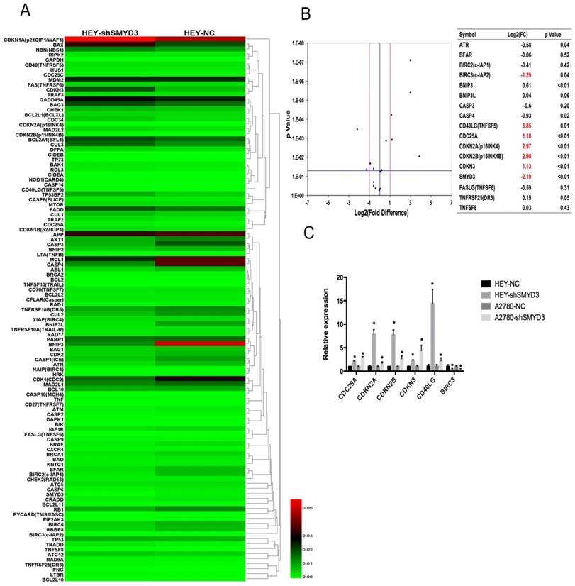 J Cancer Image