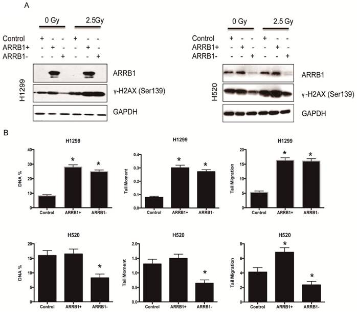 J Cancer Image