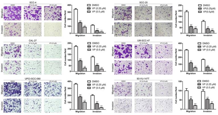 J Cancer Image