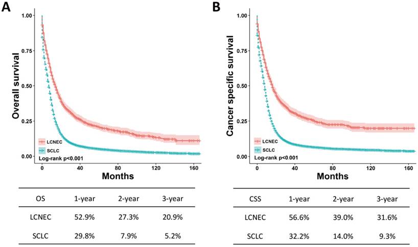 J Cancer Image