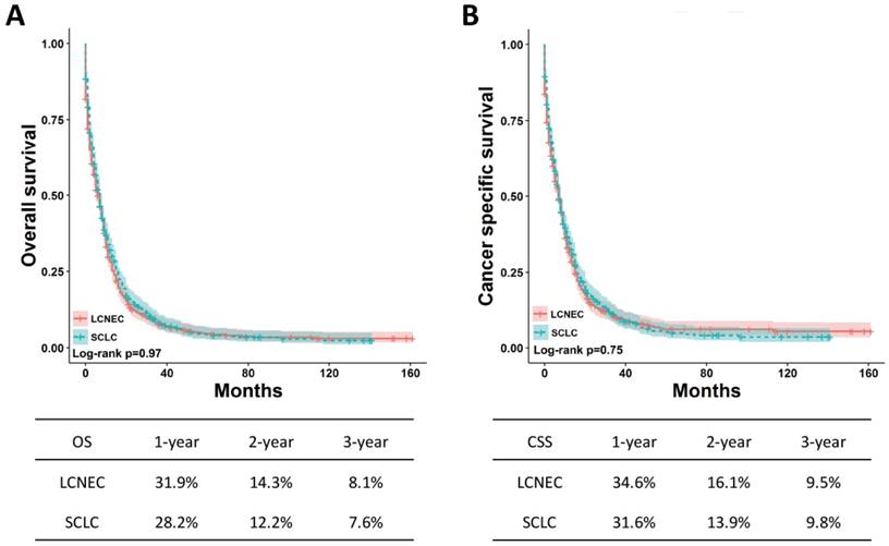 J Cancer Image