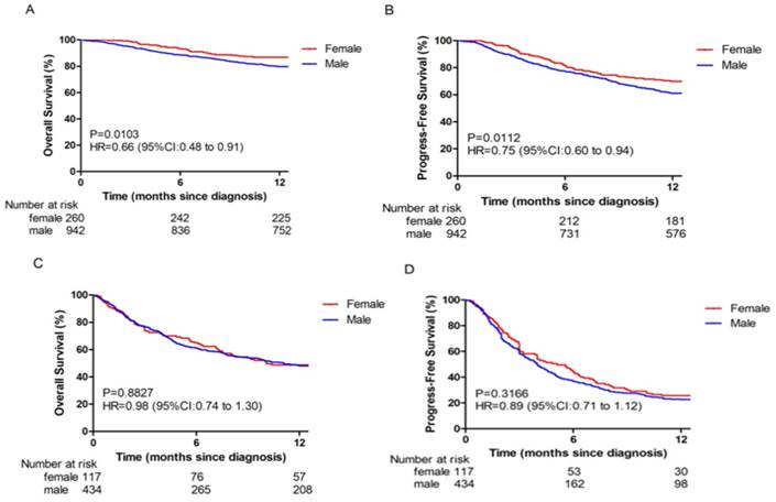 J Cancer Image