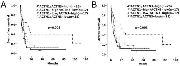 J Cancer Image