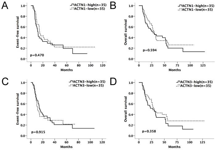 J Cancer Image