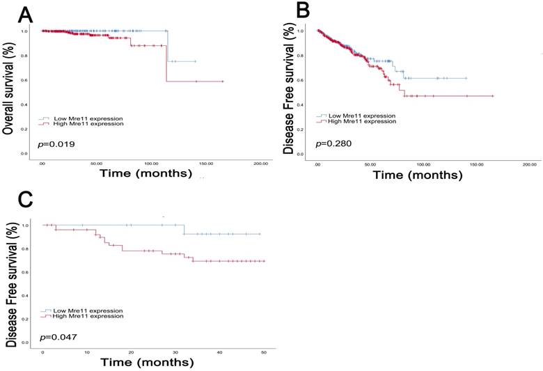 J Cancer Image