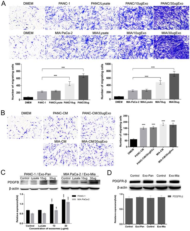 J Cancer Image