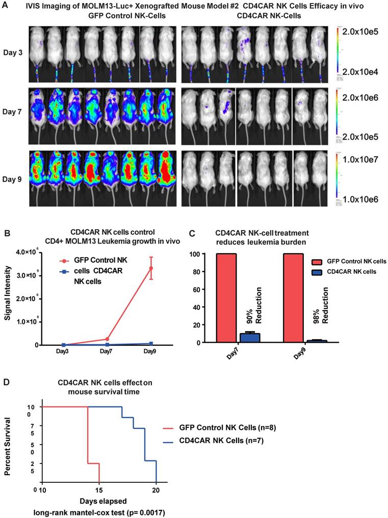 J Cancer Image