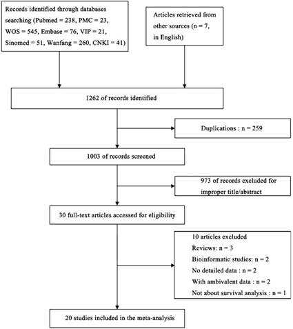 J Cancer Image