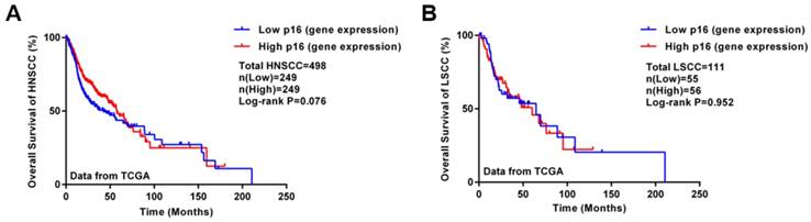 J Cancer Image