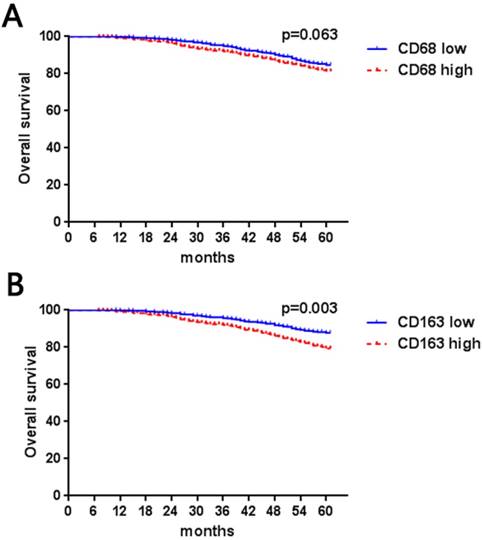 J Cancer Image