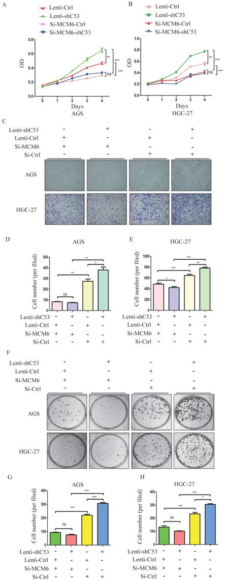 J Cancer Image