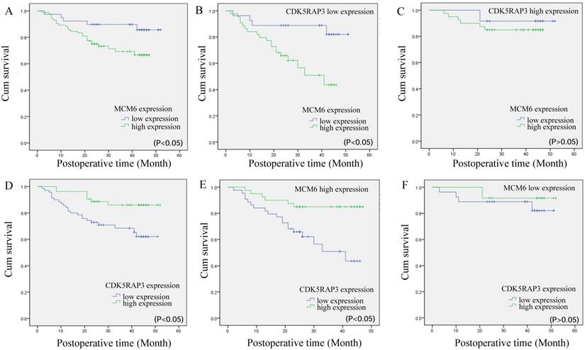 J Cancer Image