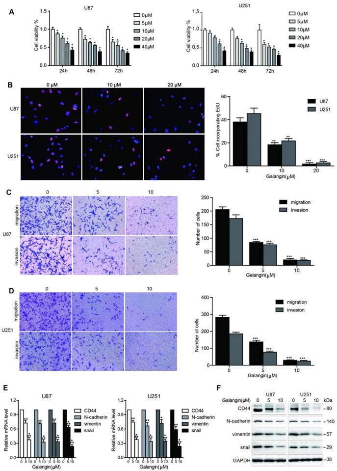 J Cancer Image