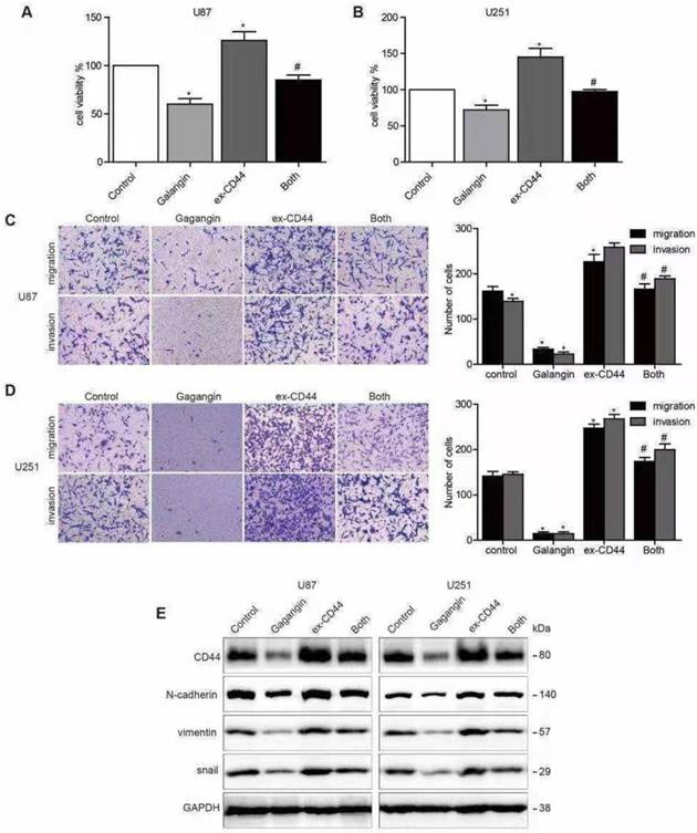 J Cancer Image